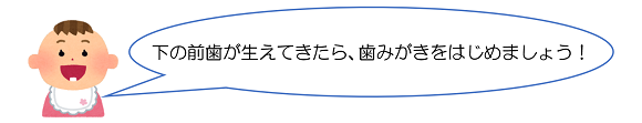 下の前歯が生えてきたら、歯みがきをはじめましょう！