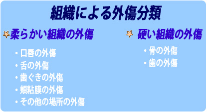 組織による外傷分類