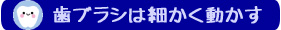 歯ブラシは細かく動かす