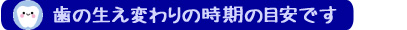 歯の生え変わりの時期の目安です