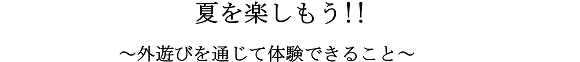 夏を楽しもう！！～外遊びを通じて体験できること～