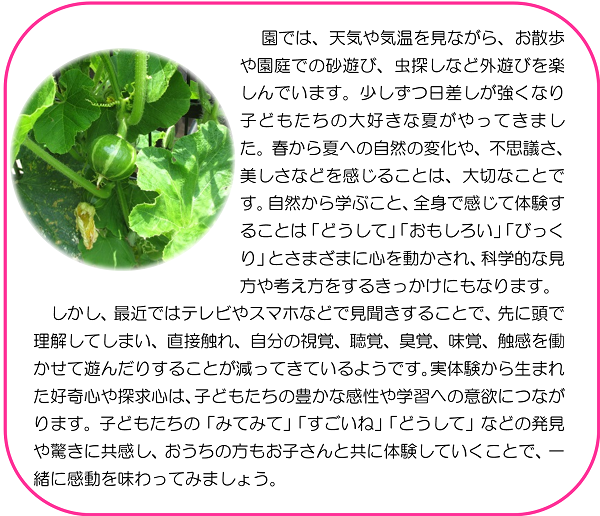 園では、天気や気温を見ながら、お散歩や園庭での砂遊び、虫探しなど外遊びを楽しんでいます。