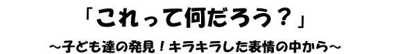 「これって何だろう？」