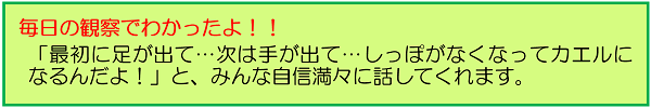 毎日の観察でわかったよ！