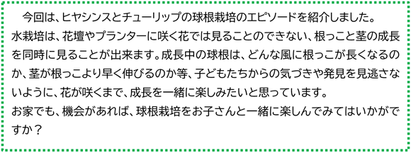 今回は、ヒヤシンスとチューリップの球根栽培のエピソードを紹介しました。