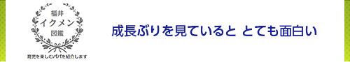 成長ぶりを見ていると とても面白い