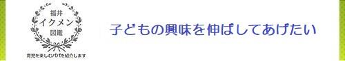 子どもの興味を伸ばしてあげたい