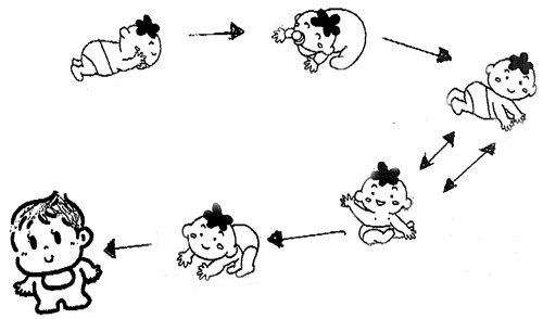 赤ちゃんの骨の発達について