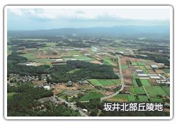 坂井北部丘陵地