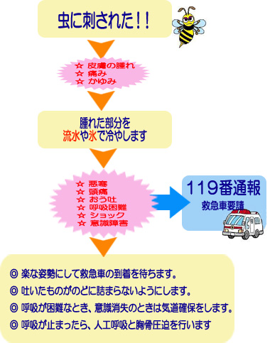 AED使用の手順フロー