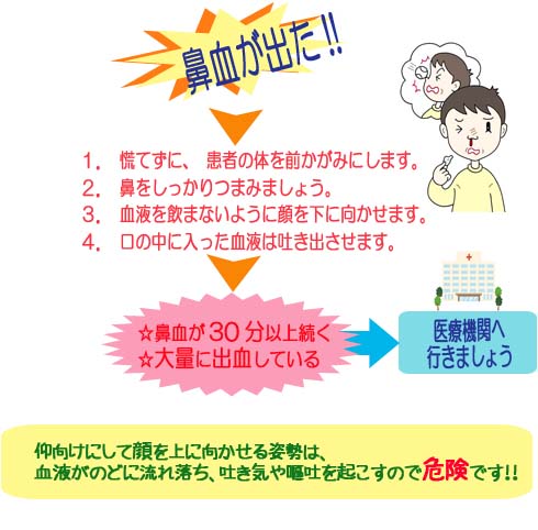 慌てずに、患者の体を前かがみにします。鼻をしっかりつまみましょう。血液は飲まないように顔を下に向かせます。口の中に入った血液は吐き出させます。鼻血が30分以上続く、大量に出血している場合は医療機関に行きましょう！