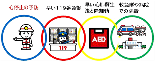 《心停止の予防》　・早い119番通報　・早い心肺蘇生法と除細動　・救急隊や病院での処置