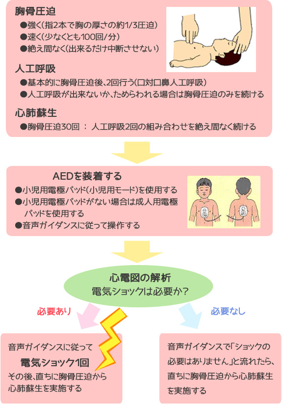 ■胸骨圧迫　・強く（指２本で胸の厚さの約１/３圧迫）　・速く（少なくとも１００回/分）　・絶え間なく（出来るだけ中断させない）　■人工呼吸　・基本的に胸骨圧迫後、２回行う（口対口鼻人工呼吸）　・人工呼吸が出来ないか、ためらわれる場合は胸骨圧迫のみを続ける　■心肺蘇生　・胸骨圧迫３０回：人工呼吸２回の組み合わせを絶え間なく続ける　→　■ＡＥＤを装着する　・小児用電極パッド（小児用モード）を使用する　・小児用電極パッドがない場合は成人用電極パッドを使用する　・音声ガイダンスに従って操作する　→　●心電図の解析　電気ショックは必要か？　→　◆必要あり　音声ガイダンスに従って電気ショック１回　その後、直ちに胸骨圧迫から心肺蘇生を実施する　◆必要なし　音声ガイダンスで「ショックの必要はありません」と流れたら、直ちに胸骨圧迫から心肺蘇生を実施する