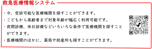 救急医療情報システム