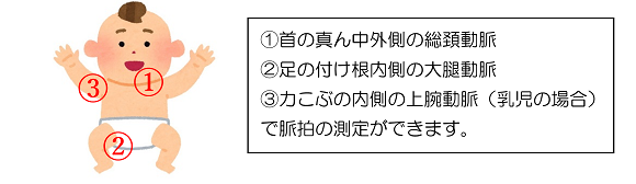 赤ちゃんの測定箇所