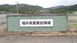 福井県農業試験場