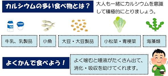 カルシウムの多い食べ物とは？